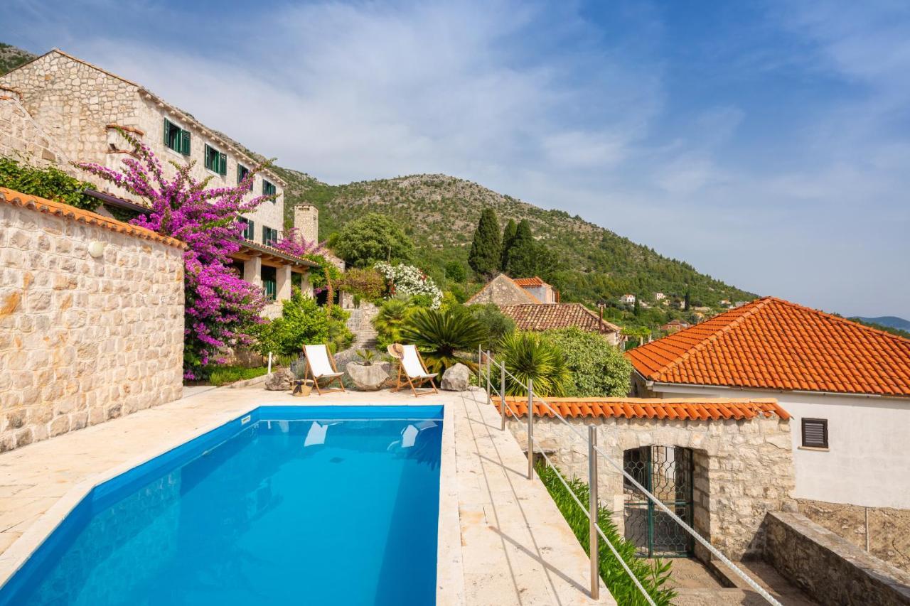 Villa Schola Brsečine Εξωτερικό φωτογραφία