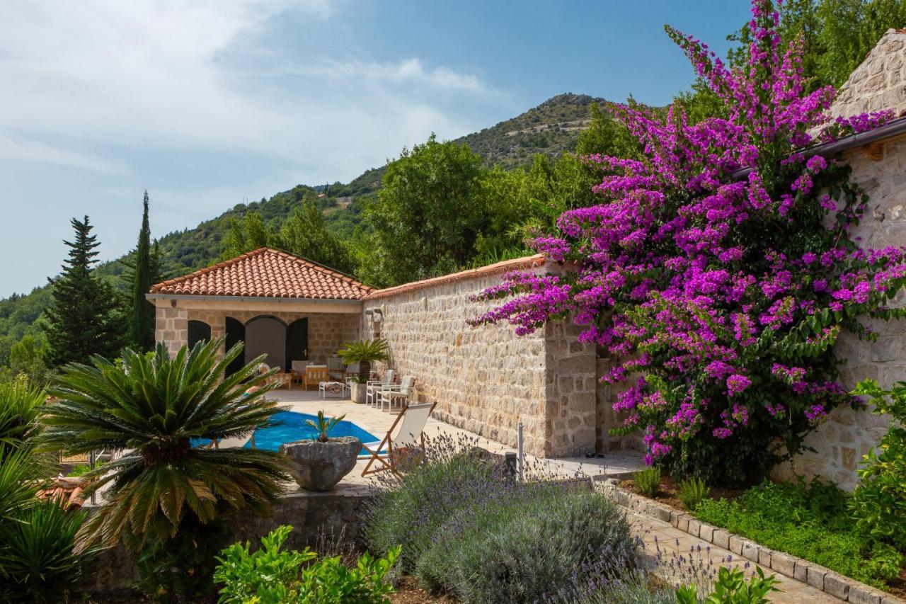 Villa Schola Brsečine Εξωτερικό φωτογραφία